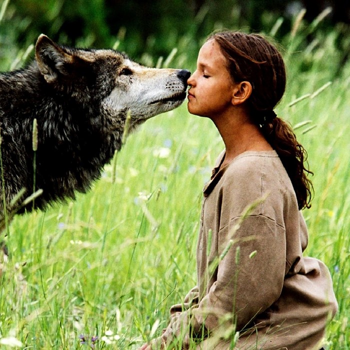  Kinderfilm "Kim und die Wölfe" 